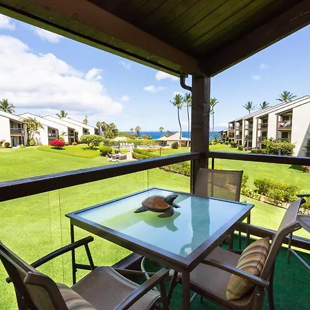 Hale Kamaole 223 Vila
